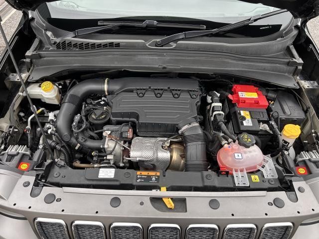 26127212_carP_l_19.jpg
