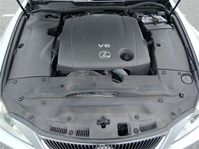 08.jpg