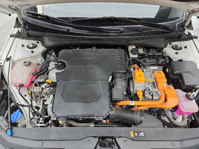 lotterental_131800209_qP8Yq_7.jpg