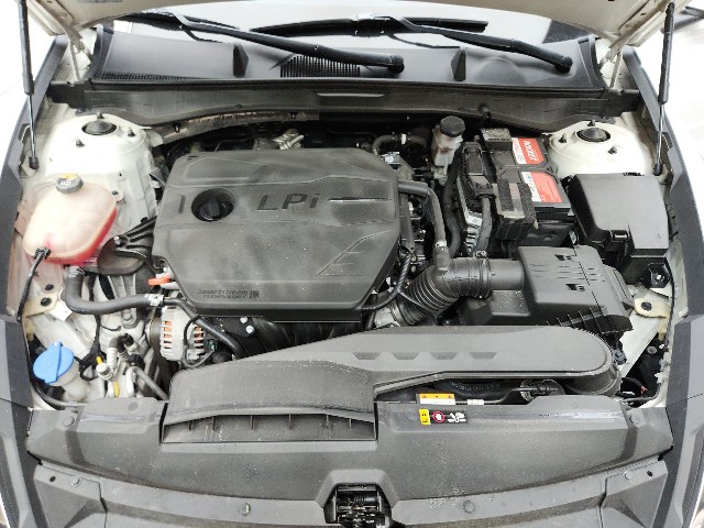 lotterental_131637392_2YjQA_8.jpg