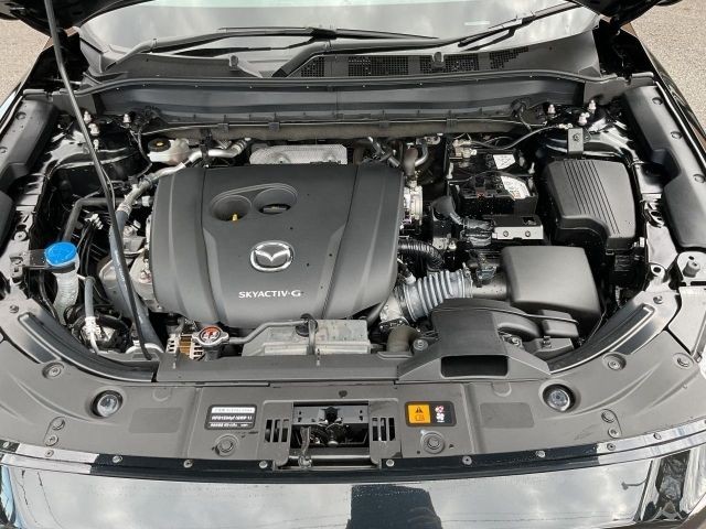 83a75ca28c0f82ab2fe704541f65d344.jpg