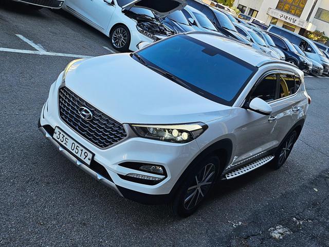 26127417_carP_l_1.jpg