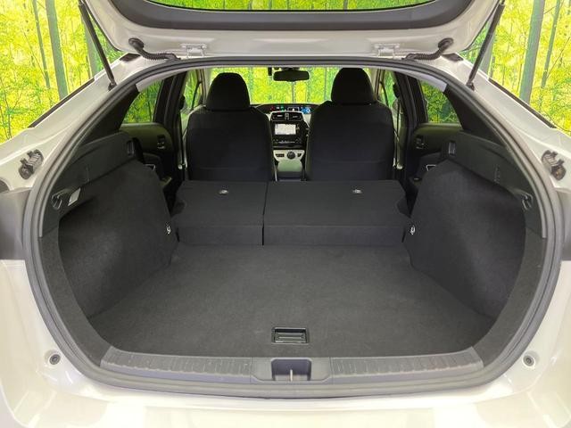 26815807_carP_l_5.jpg