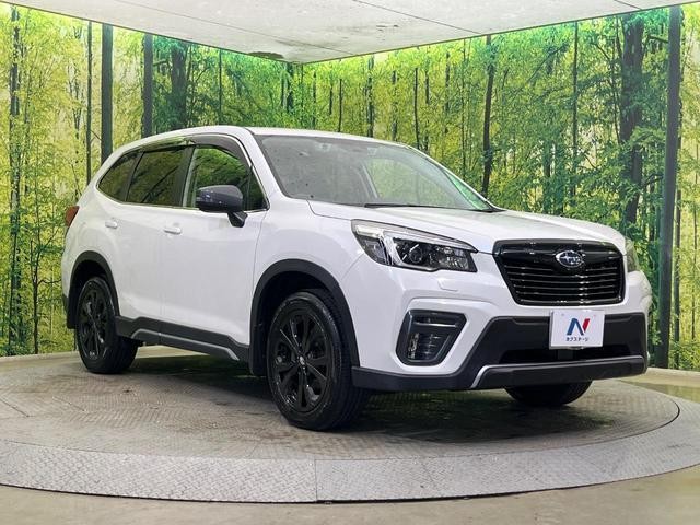 26838106_carP_l_11.jpg