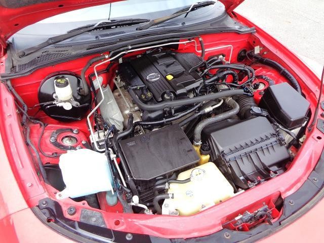 26129334_carP_l_19.jpg
