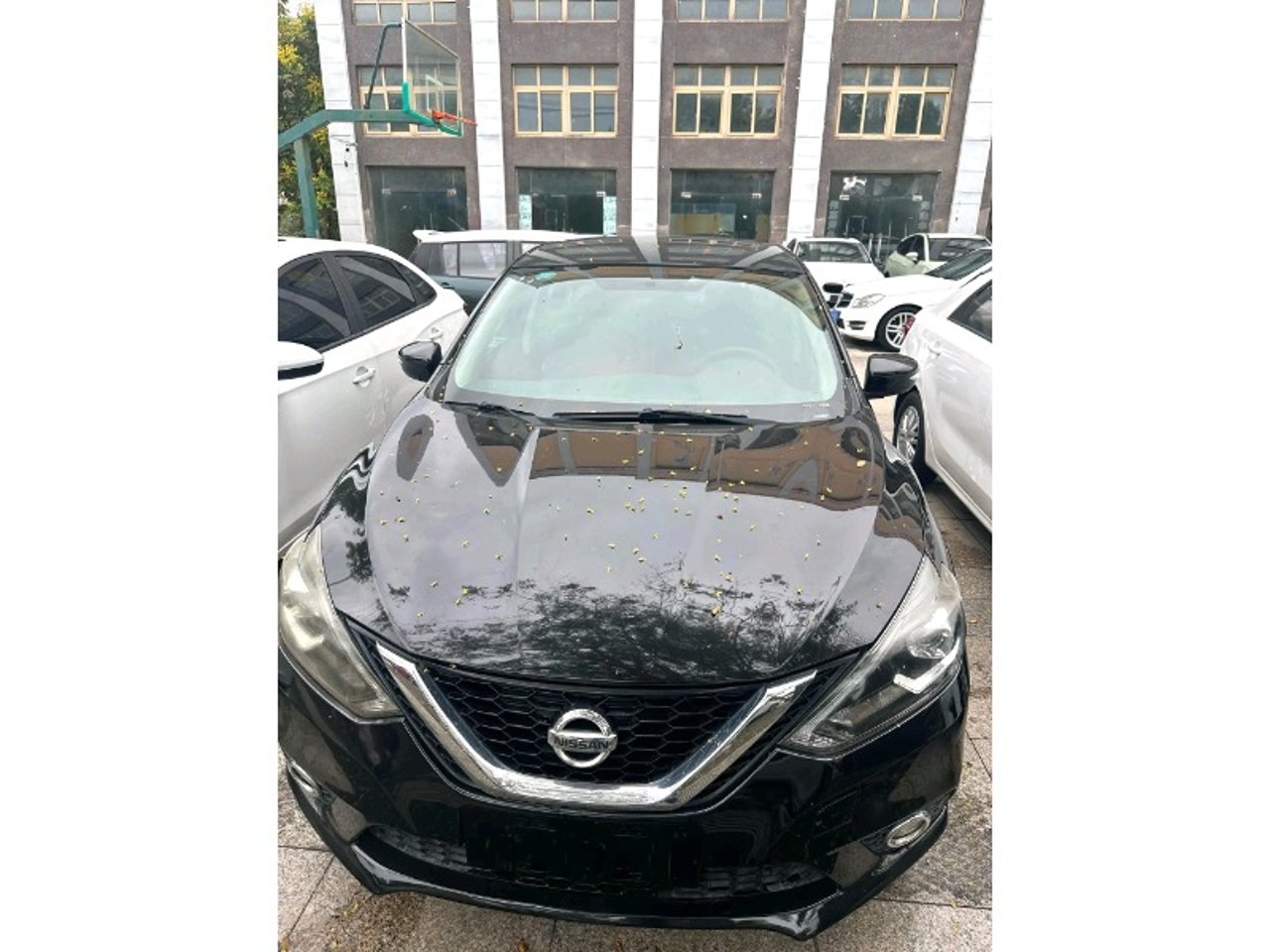 2019 Nissan Sylphy Standard for sale in Kenya
