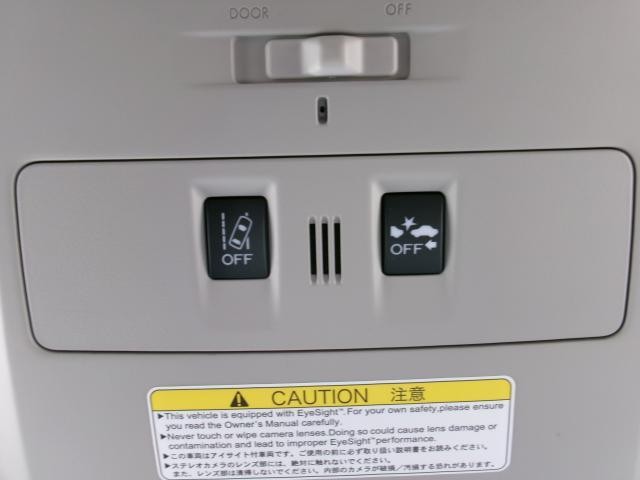 26131984_carP_l_12.jpg