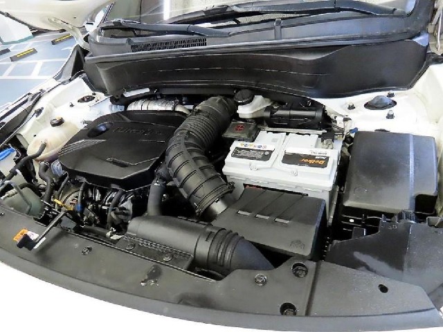 194ae82af244a64c493bacee08aa07e7.jpeg