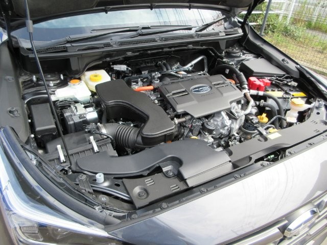 d9d1bcac6e15f09a11c5ca9ecd9bc43a.jpg
