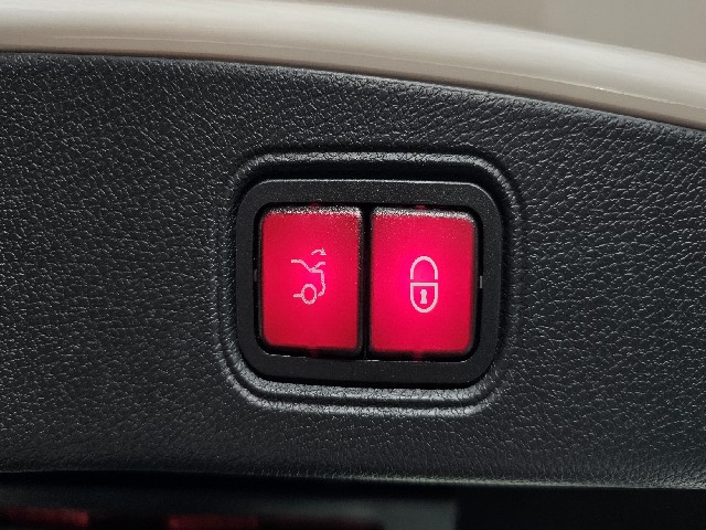 526ef01a84d48c4cf2e912b509849df1.jpeg