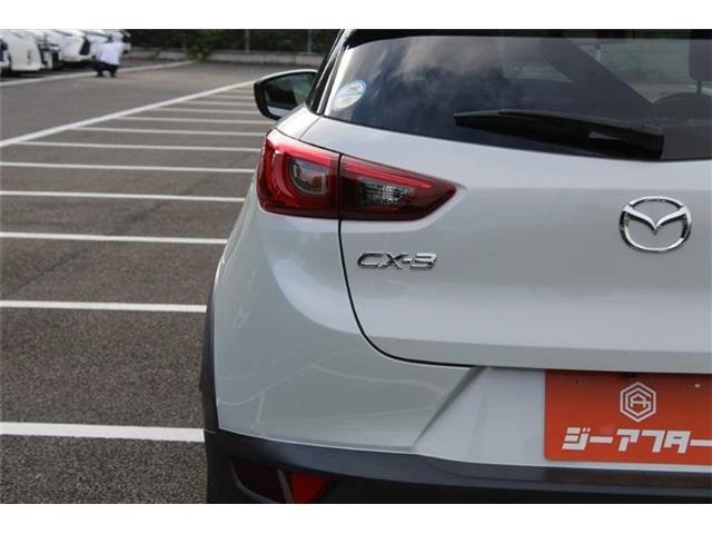 38cace9bd11ea5ceb8dca9593a3b40d6.jpg