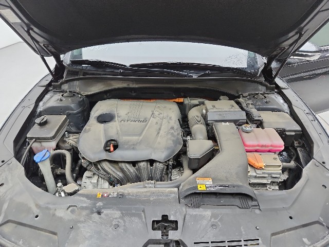 lotterental_144248100_2YlMR_9.jpg