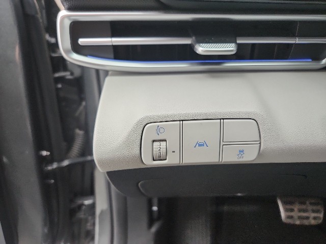 lotterental_152216746_LIdF5_2.jpg