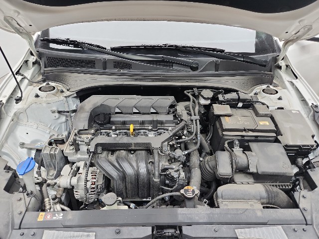 lotterental_213057217_SycaR_9.jpg