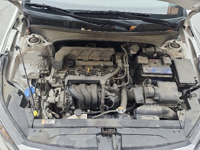 lotterental_231519487_qRk9B_8.jpg