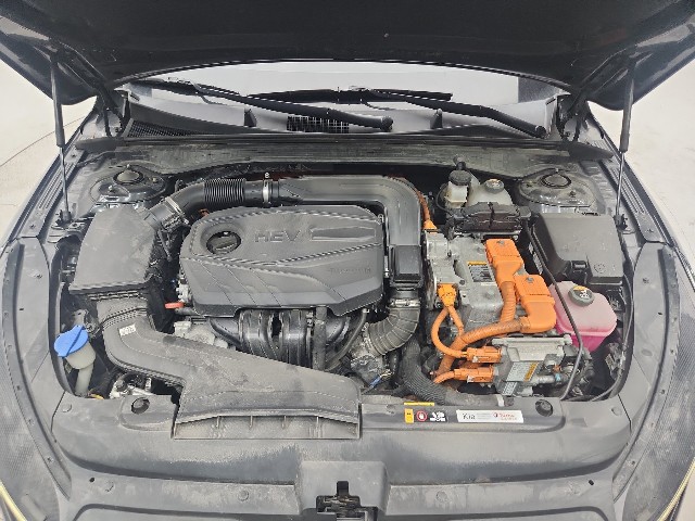 lotterental_235111281_FK7wX_10.jpg