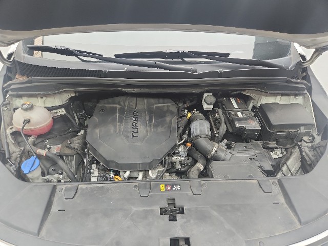 lotterental_233951709_P443E_10.jpg