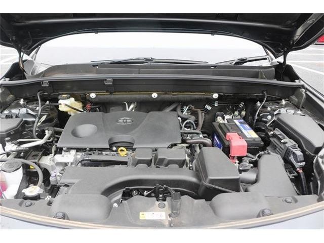 26132288_carP_l_20.jpg