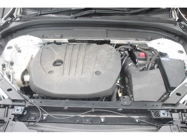 26132292_carP_l_18.jpg
