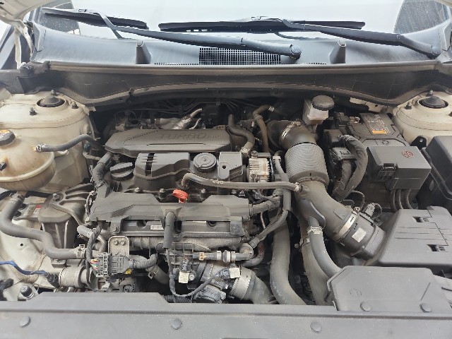 lotterental_164108414_nuWwD_9.jpg