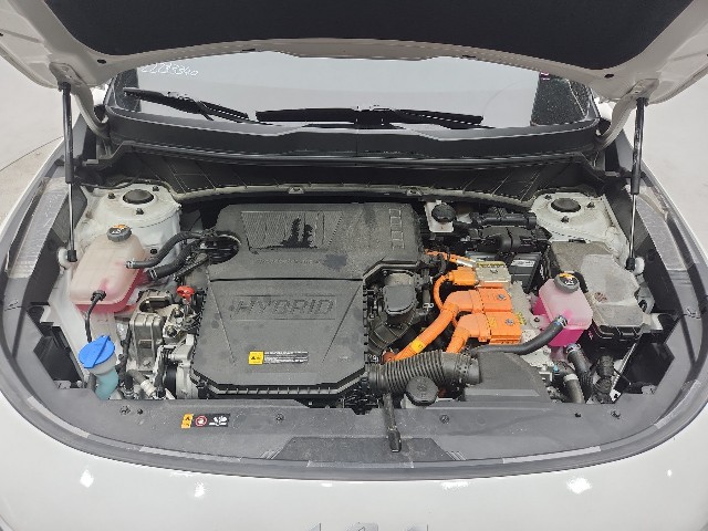 lotterental_162240105_raGFZ_8.jpg