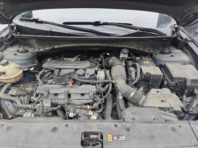 lotterental_181015976_qKLhc_6.jpg