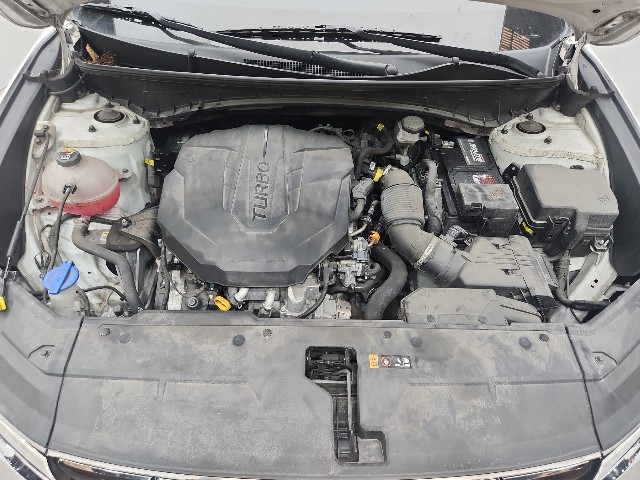 lotterental_145937965_RbwH4_8.jpg