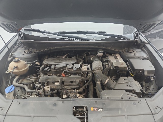 lotterental_221248388_K2p3K_7.jpg