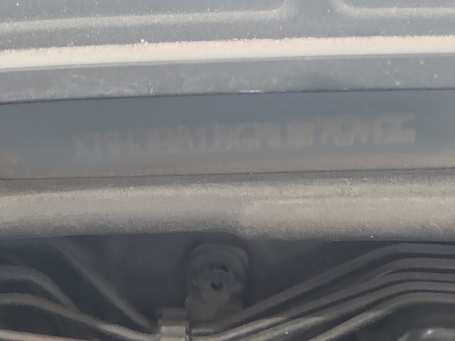 lotterental_221248472_B5cNK_9.jpg