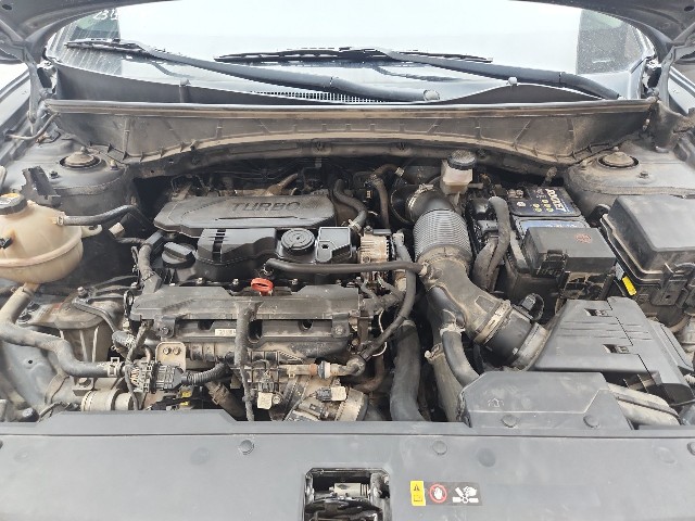 lotterental_165227802_JBb2S_8.jpg