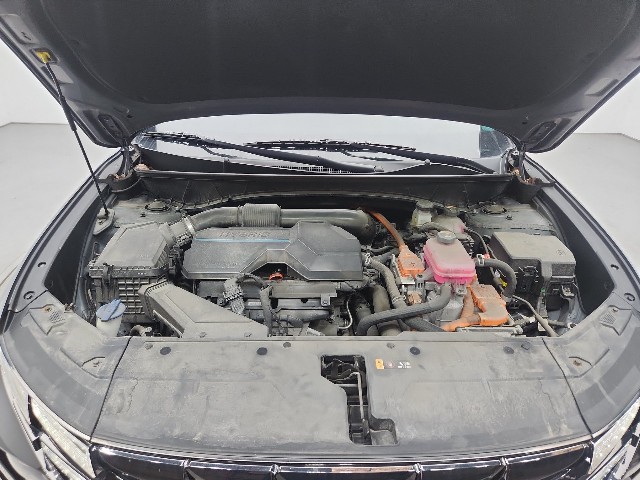 lotterental_145801818_BYUC9_7.jpg
