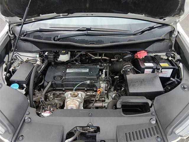 837f92eff319e9f7ac328fb3d697ca7e.jpg