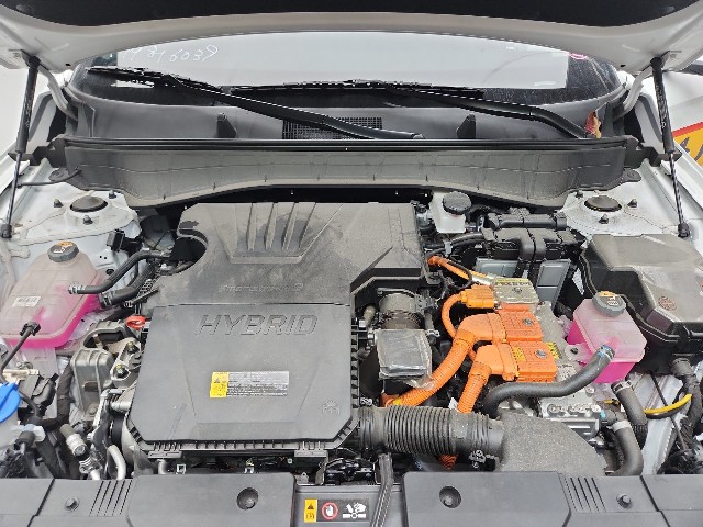 lotterental_22591239_D5AzN_8.jpg