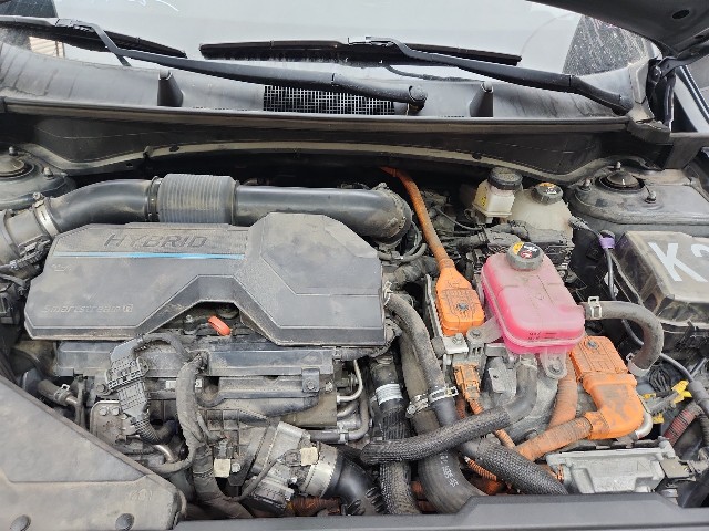 lotterental_224752764_jdsjc_8.jpg