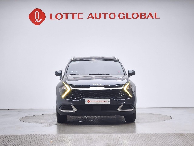 lotterental_154716383_wMRnT_1.jpg