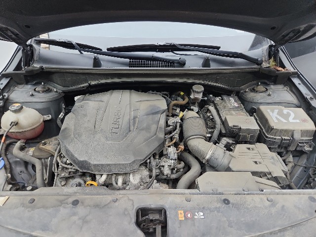lotterental_155040992_uEbJd_9.jpg