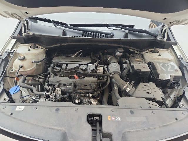 lotterental_220159243_CBxP0_9.jpg