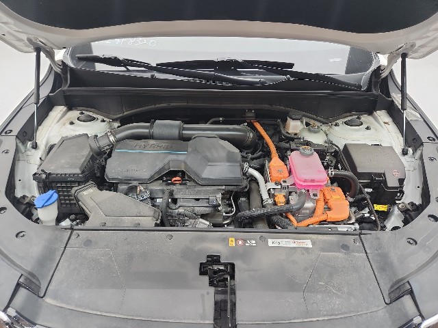 lotterental_143507936_P1IoJ_10.jpg