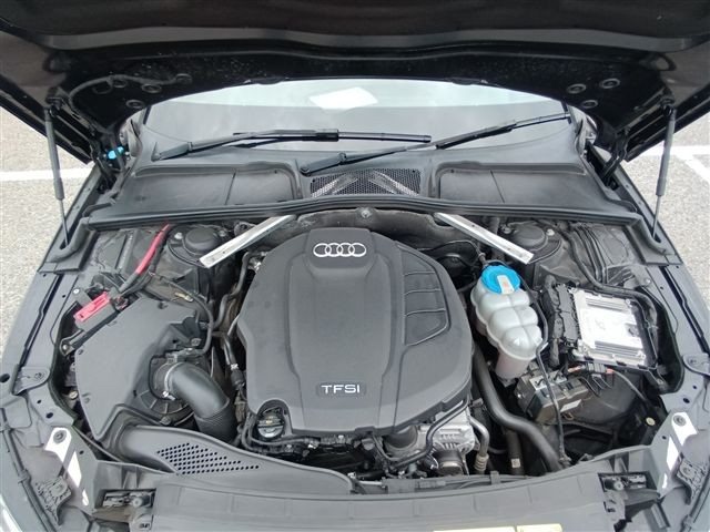 08.jpg