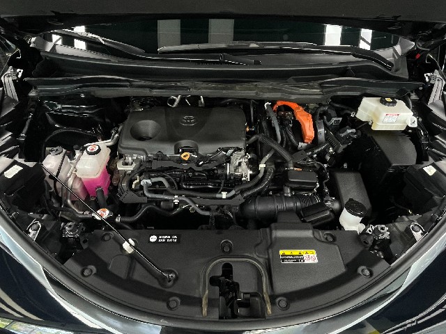 82784f4c1285c1fd69d4d5786cb77e3d.jpeg