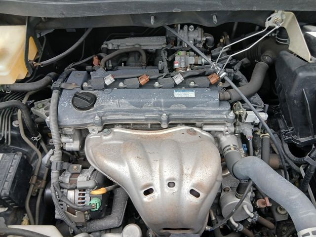 08.jpg
