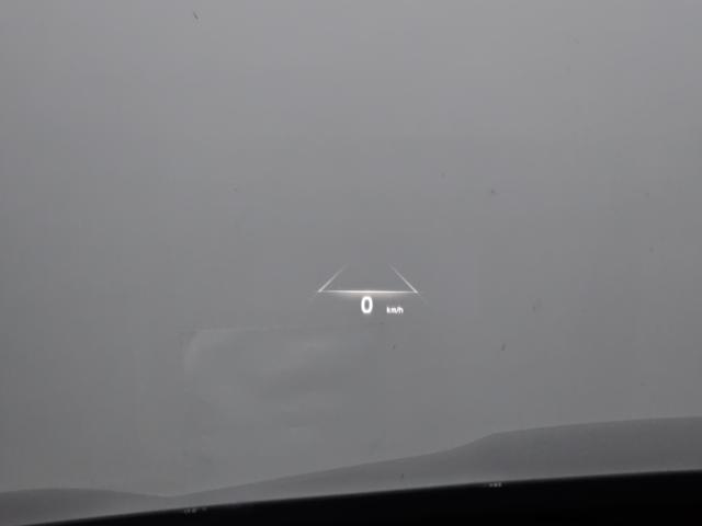 103233820756ba35088175d115233efd.jpeg