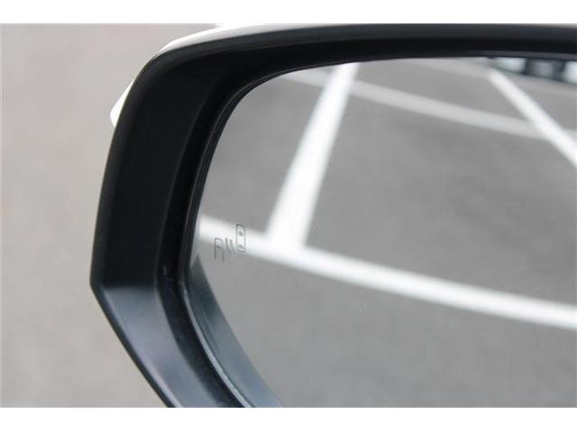 6f12db565b485ccb852cc9046d2a5b6a.jpg