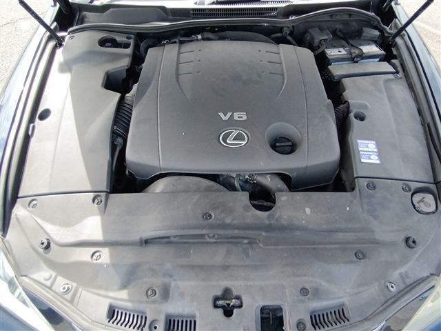 08.jpg