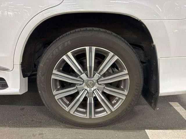 26132453_carP_l_19.jpg
