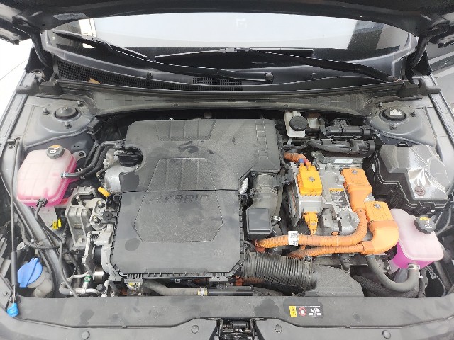 lotterental_135440135_whWxe_9.jpg