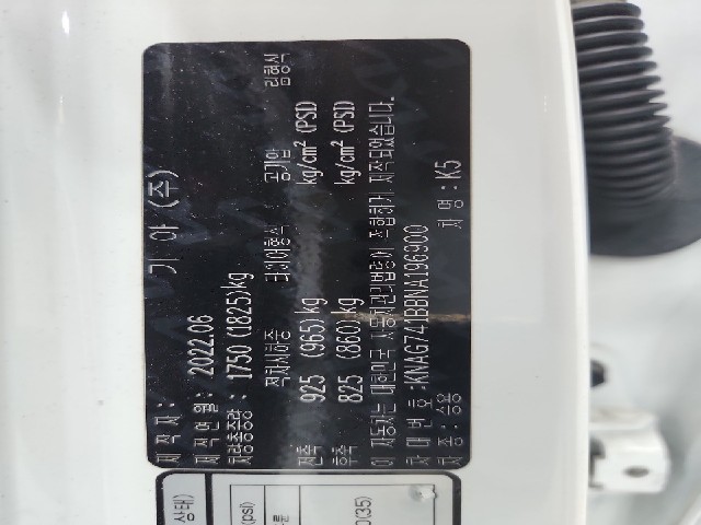 lotterental_22550279_8bgoZ_8.jpg