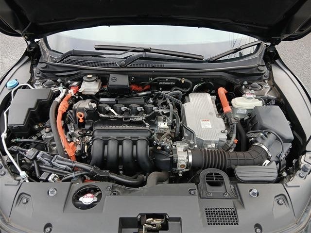 26141217_carP_l_20.jpg