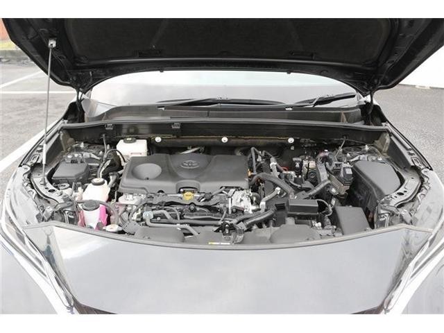 26141218_carP_l_20.jpg