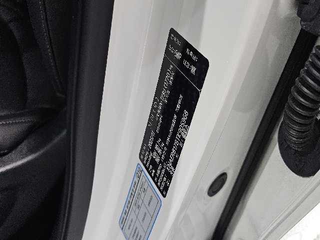 f804abbce0be07e7be34228ab90181a2.jpeg
